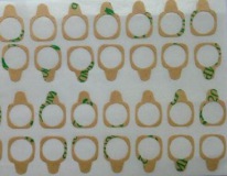雙面膠模切